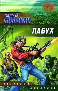 Алексей Молокин Лабух обложка книги