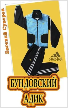 Евгений Суверов Бундовский «адик» обложка книги