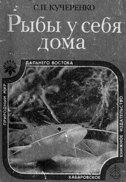 Сергей Кучеренко Рыбы у себя дома обложка книги