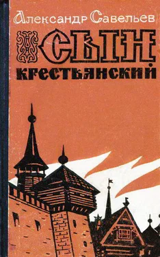 Александр Савельев Сын крестьянский обложка книги