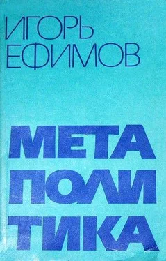 Игорь Ефимов Метаполитика обложка книги