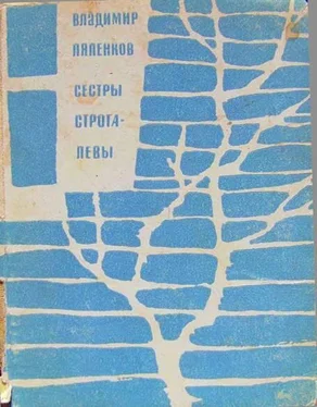 Владимир Ляленков Сёстры Строгалевы (сборник) обложка книги