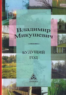 Владимир Микушевич Будущий год обложка книги