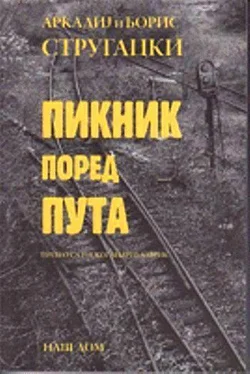 Аркадиј Стругацки Пикник поред пута обложка книги