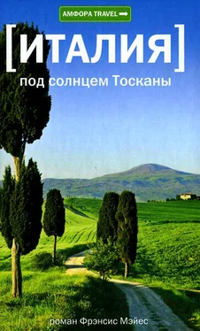 Фрэнсис Мэйес Под солнцем Тосканы обложка книги