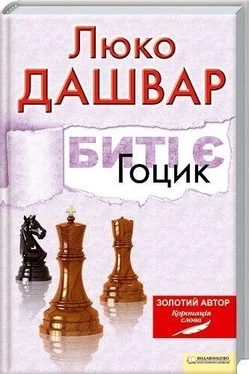 Люко Дашвар Биті є. Гоцик (Повністю) обложка книги