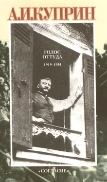 Александр Куприн Голос оттуда: 1919–1934 обложка книги