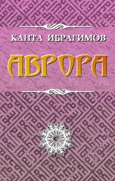 Канта Ибрагимов Аврора обложка книги