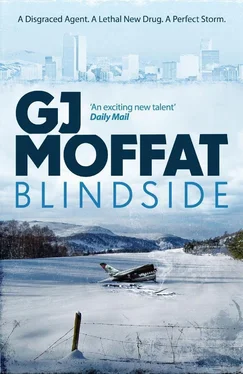 G. Moffat Blindside обложка книги