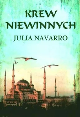 Julia Navarro Krew Niewinnych обложка книги