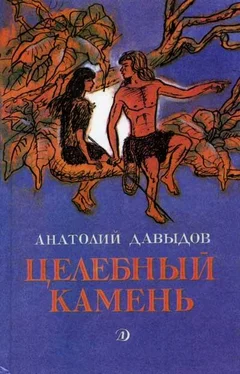Анатолий Давыдов Целебный камень обложка книги