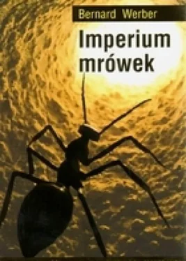 Bernard Werber Imperium mrówek обложка книги