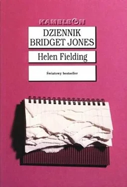 Helen Fielding Dziennik Bridget Jones обложка книги