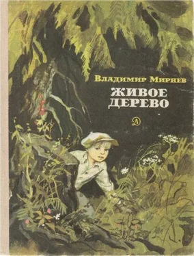 Владимир Мирнев Живое дерево обложка книги