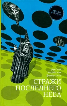 Борис Штерн Стражи последнего неба обложка книги