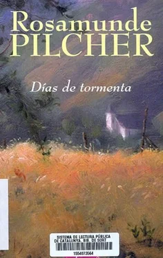 Rosamunde Pilcher Días De Tormenta обложка книги