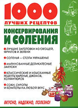 Виктория Рошаль 1000 лучших рецептов консервирования и соления обложка книги