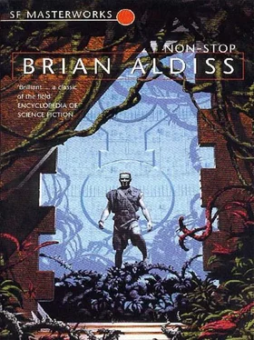 Brian Aldiss Non-Stop обложка книги