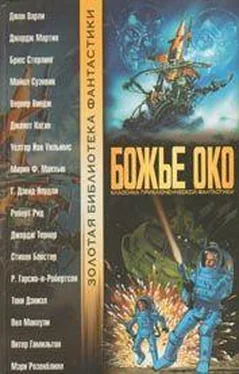 Вернор Виндж Болтунья обложка книги