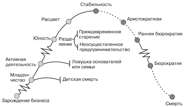 Рис 2График эволюции жизненного цикла компании по И Адизесу Итак согласно - фото 7