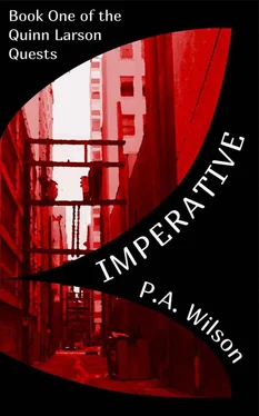 P. Wilson Imperative обложка книги