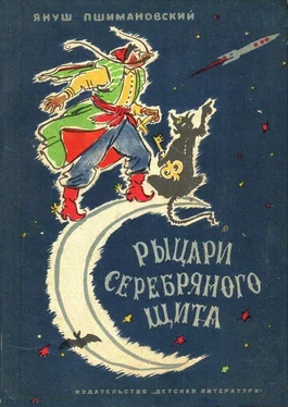 Януш Пшимановский Рыцари Серебряного Щита обложка книги