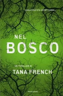 Tana French Nel Bosco обложка книги