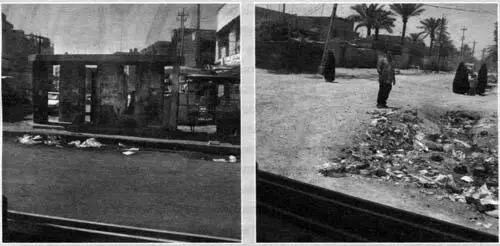 Багдадские виды из правого заднего окна хамви Брент Каммингз - фото 8