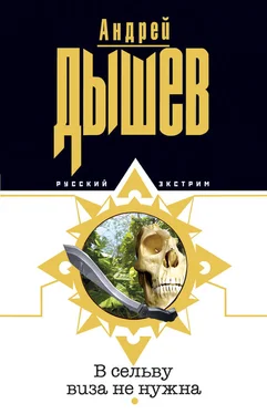 Андрей Дышев В сельву виза не нужна обложка книги