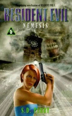 Стефани Перри Nemesis обложка книги