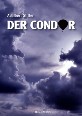 Adalbert Stifter Der Condor обложка книги