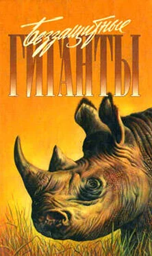 Джон Дэвис Операция Носорог обложка книги