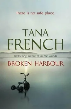 Tana French Broken Harbour обложка книги