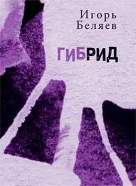 Игорь Беляев Гибрид: Для чтения вслух обложка книги