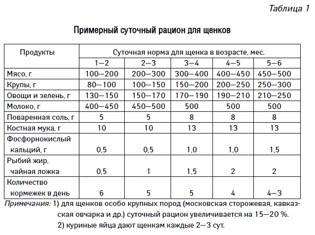 Кормить щенков следует регулярно по установленным нормам ни в коем случае не - фото 50