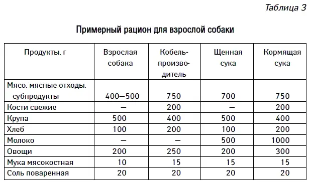 Как ухаживать за стареющей собакой Старение животного Начиная с 67 лет - фото 52