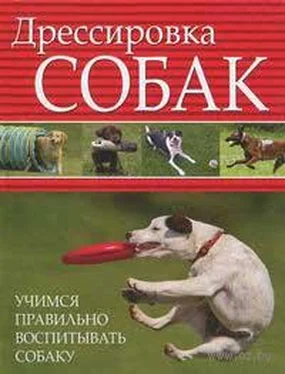 Л. Орлова Дрессировка собак. Учимся правильно воспитывать собаку обложка книги