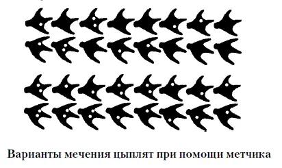 Грелка для цыплят Для обогрева молодняка птицы в начале выращивания применяют - фото 29