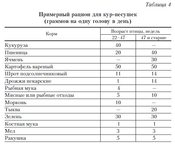 Перевод ремонтных кур на рацион для курнесушек следует осуществлять - фото 49