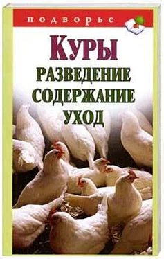 В. Горбунов Куры. Разведение. Содержание. Уход обложка книги