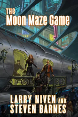 Larry Niven The Moon Maze Game обложка книги
