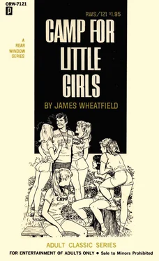 James Wheatfield Camp for little girls обложка книги