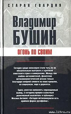 Владимир Бушин Огонь по своим обложка книги