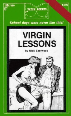 Nick Eastwood Virgin lessons обложка книги