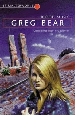 Greg Bear Blood Music обложка книги