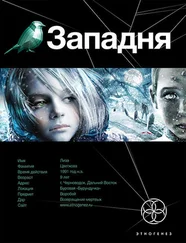 Карина Шаинян - Западня. Шельф