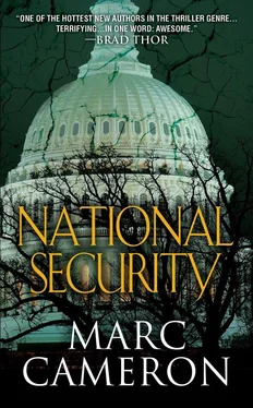 Marc Cameron National Security обложка книги