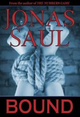 Jonas Saul Bound обложка книги