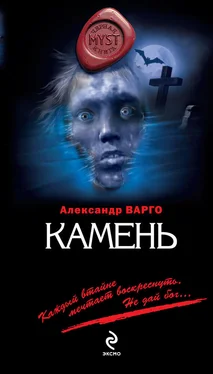 Александр Варго Камень обложка книги