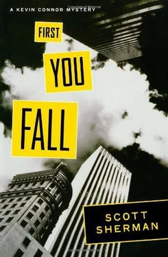 Scott Sherman First You Fall обложка книги